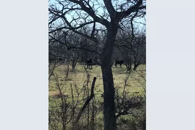 Tbd 14 Acres Winn Road, Collinsville, TX 76233 - Photo 1