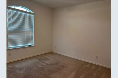 3204 Goose, McKinney, TX 75071 - Photo 10