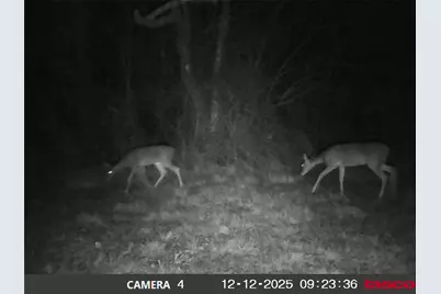 13550 County Road 2919, Eustace, TX 75124 - Photo 32