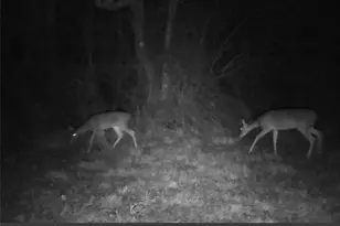 13550 Co Rd 2919, Eustace, TX 75124 - Photo 32