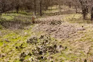 14947 Robin Rd, Haslet, TX 76052 - Photo 18