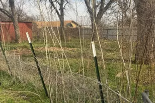 316 Alley St, Perrin, TX 76486 - Photo 18