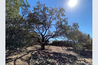 1052 Enchanted Rock Court, Possum Kingdom Lake, TX 76449 - Photo 4