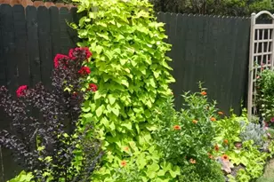 1136 Ridgeview Cir, Granbury, TX 76048 - Photo 16