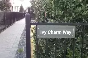 4913 Ivy Charm Way, Fort Worth, TX 76114 - Photo 26