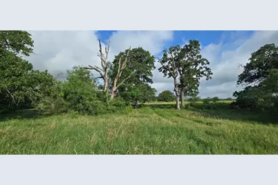 Tbd George Wachel Rd. Road, Bremond, TX 76629 - Photo 8