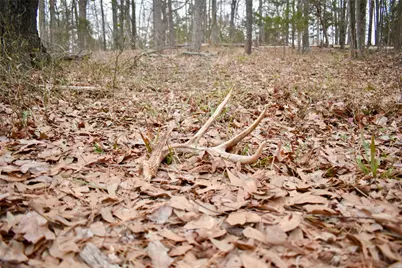 509 County Road 35985, Powderly, TX 75473 - Photo 30