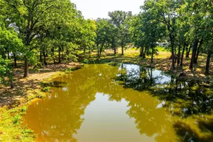 4542 Fireman's Ln, Lone Oak, TX 75453 - Photo 24