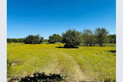 Tbd County Road 3045, Dodd City, TX 75438 - Photo 8