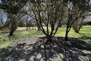 7460 Co Rd 990, Princeton, TX 75407 - Photo 16