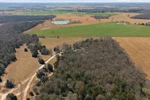 847 Vz County Road 2213, Canton, TX 75103 - Photo 10