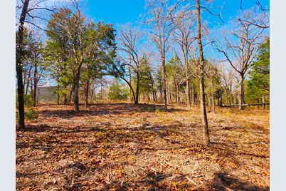 Lot 463 Us-175, LaRue, TX 75770 - Photo 10