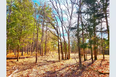 Lot 463 Us-175, LaRue, TX 75770 - Photo 8