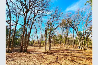 Lot 463 Us-175, LaRue, TX 75770 - Photo 36