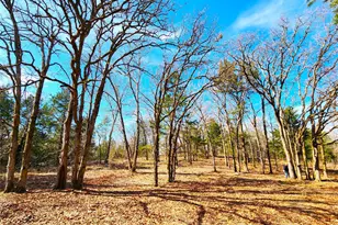 Lot 463 Us-175, LaRue, TX 75770 - Photo 36