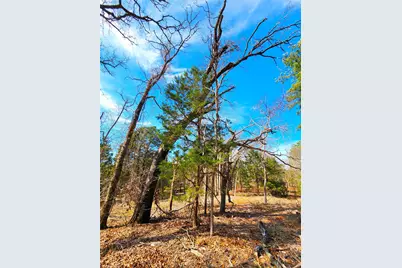 Lot 463 Us-175, LaRue, TX 75770 - Photo 32