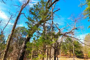 Lot 463 Us-175, LaRue, TX 75770 - Photo 32