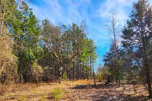 Lot 463 Us-175, LaRue, TX 75770 - Photo 38