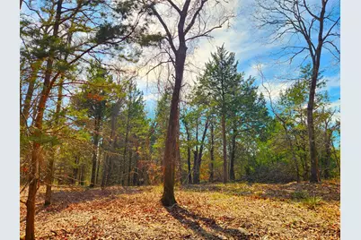 Lot 463 Us-175, LaRue, TX 75770 - Photo 4