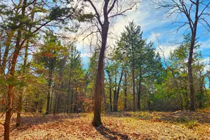 Lot 463 Us-175, LaRue, TX 75770 - Photo 4