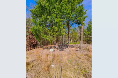 Lot 463 Us-175, LaRue, TX 75770 - Photo 26