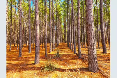 Lot 463 Us-175, LaRue, TX 75770 - Photo 22