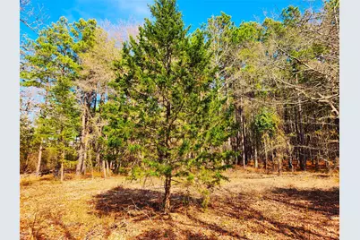 Lot 463 Us-175, LaRue, TX 75770 - Photo 20