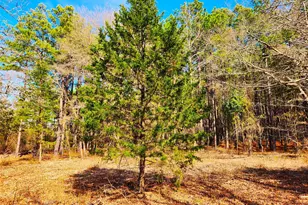 Lot 463 Us-175, LaRue, TX 75770 - Photo 20