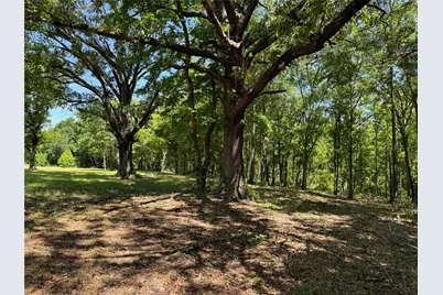 0 Pine Ridge Court, Athens, TX 75752 - Photo 4