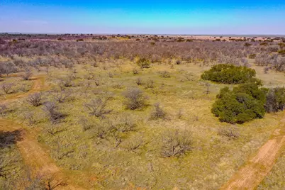 Tbd Roney Road, Jacksboro, TX 76458 - Photo 16