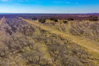 Tbd Roney Road, Jacksboro, TX 76458 - Photo 8