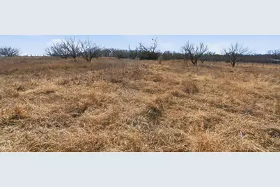 8005 Contrary Creek Road, Granbury, TX 76048 - Photo 6