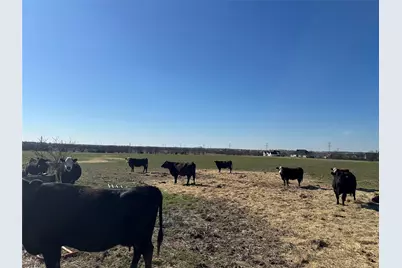 4469 County Road 1022, Cleburne, TX 76033 - Photo 8