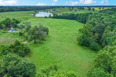 68(+/-) Acres Fm 773, Grand Saline, TX 75140 - Photo 22