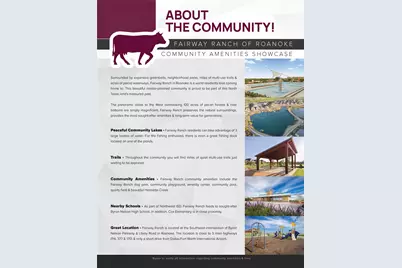 1036 Cabinside Drive, Roanoke, TX 76262 - Photo 36