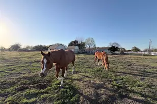 2104 Ponderosa Trail, Sachse, TX 75048 - Photo 38