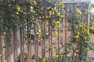 6211 W Northwest Hwy, Dallas, TX 75225 - Photo 6