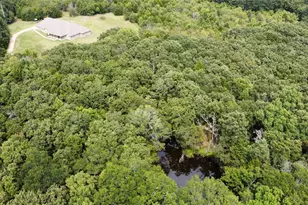 643 County Rd 2255, Telephone, TX 75488 - Photo 38