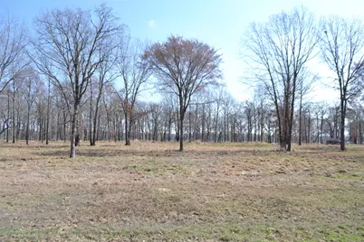 Lot 13 Angler Shores Drive, Yantis, TX 75497 - Photo 4