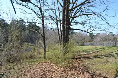 Lot 128, 144 County Road 2123, Quitman, TX 75783 - Photo 10