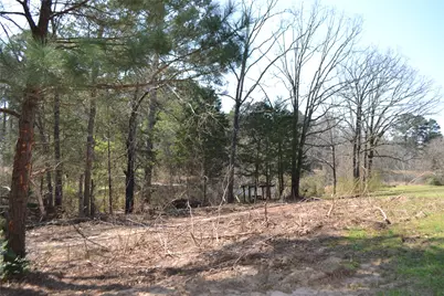 Lot 128, 144 County Road 2123, Quitman, TX 75783 - Photo 2