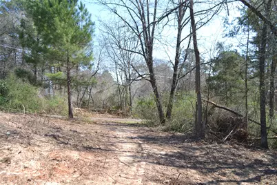 Lot 128, 144 County Road 2123, Quitman, TX 75783 - Photo 8