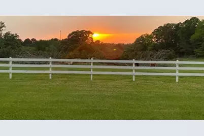 10100 Fm  1650, Gilmer, TX 75645 - Photo 32