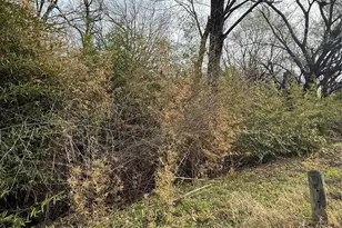 1112-1113 Owhyhe Rd, Tool, TX 75143 - Photo 1