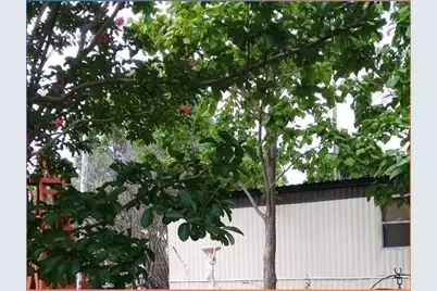 242 Cobb Avenue, Van Alstyne, TX 75495 - Photo 2