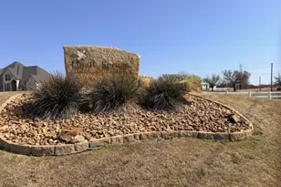 321 Sandpiper Dr, Weatherford, TX 76088 - Photo 1