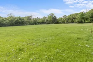 254 Jackson Rd, Whitewright, TX 75491 - Photo 4