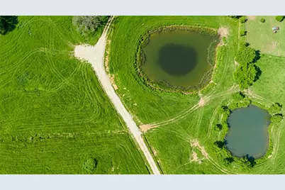 363 County Road 44880, Blossom, TX 75416 - Photo 6