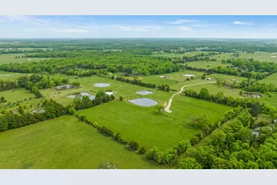 363 County Road 44880, Blossom, TX 75416 - Photo 10
