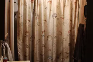 8087 Lakeview Dr, Quinlan, TX 75474 - Photo 10